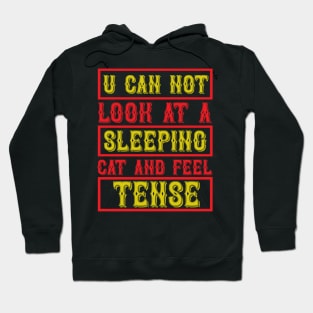 You Can Not Look At A Sleeping Cat And Feel Tense T Shirt For Women Men Hoodie